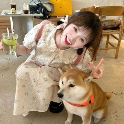 转型团伙