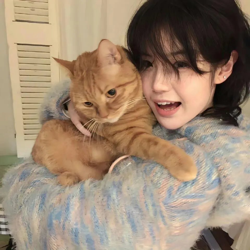 以弓猎狮