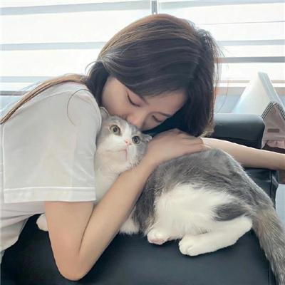沉睡蝴蝶